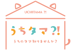 うちタマ⁈ ～うちのタマ知りませんか？～