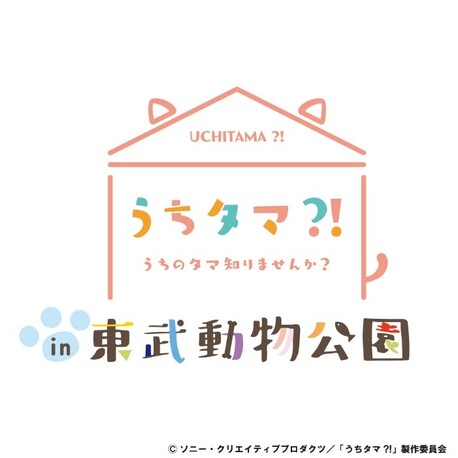 東武動物公園とコラボイベント開催決定 News Tvアニメ うちタマ うちのタマ知りませんか 公式サイト